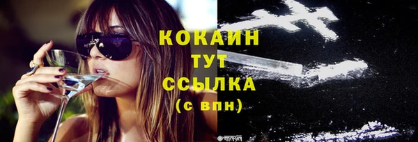 молекула духа Белоозёрский