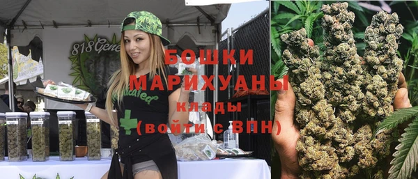 молекула духа Белоозёрский