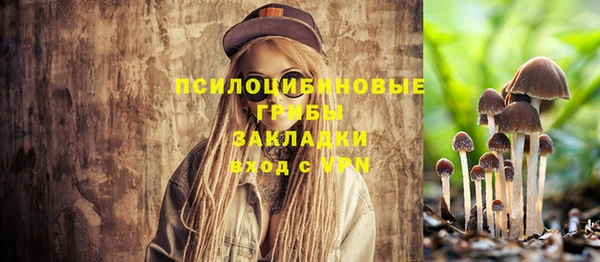 молекула духа Белоозёрский