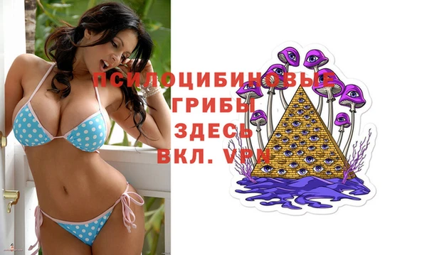 молекула духа Белоозёрский